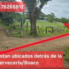 Vendo terrenos Ubicados detras de la cerveceria / BOACO