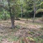 se vende finca