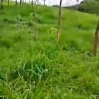 Se vende Lote de terreno de 12 mz