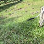 Vendo 2 fincas en una sola venta