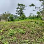 Vendo Lote en Pantasma - Jinotega (900mt2)