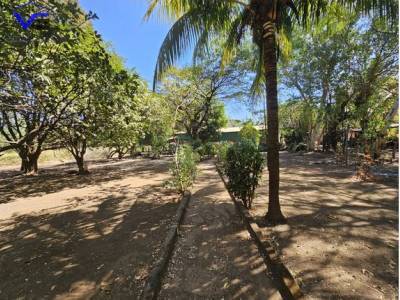 Venta Finca TELICA