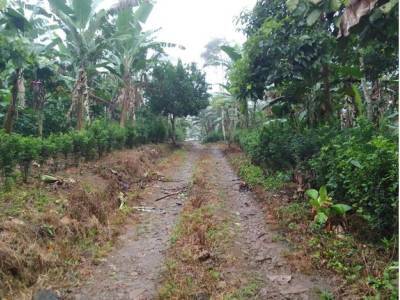 Venta Finca EL CUA